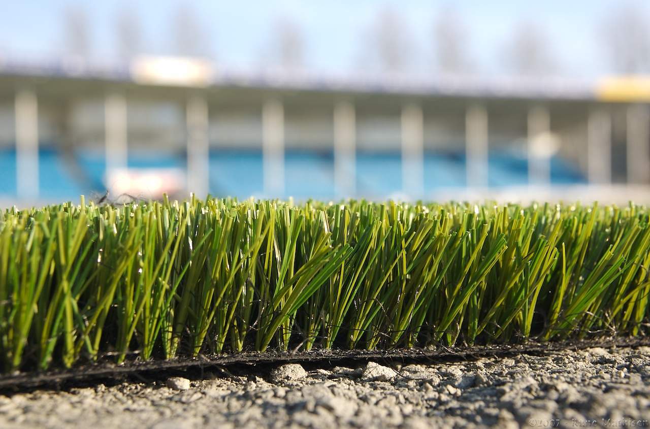 Natural Grass Should Not Be Replaced by Turf