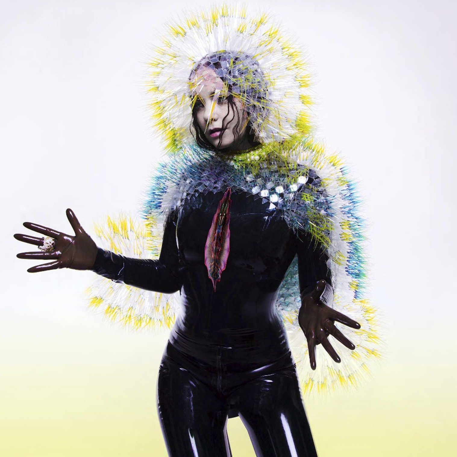 Album Review: “Vulnicura” by Björk – The UCSD Guardian