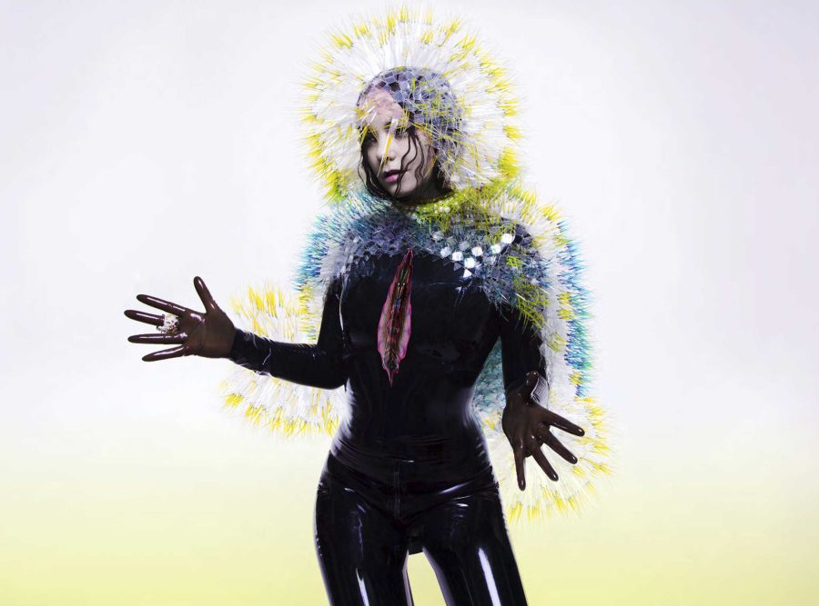 Album Review: Vulnicura by Björk