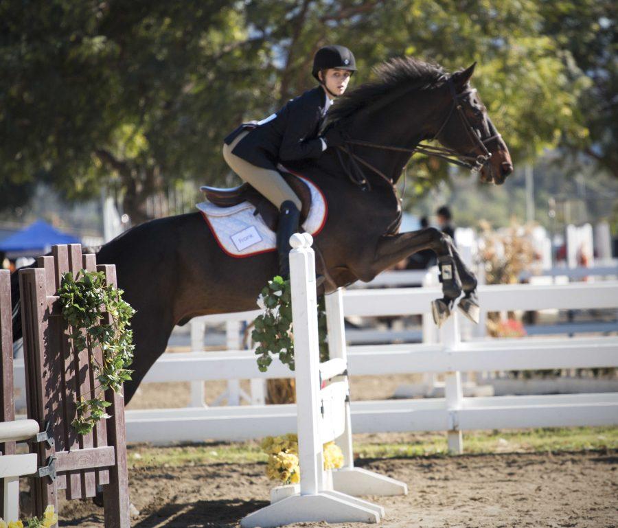 UCSD+Equestrian+Team+hosts+a+IHSA+competition.+Photo+by+Megan+Lee%2FUCSD+Guardian
