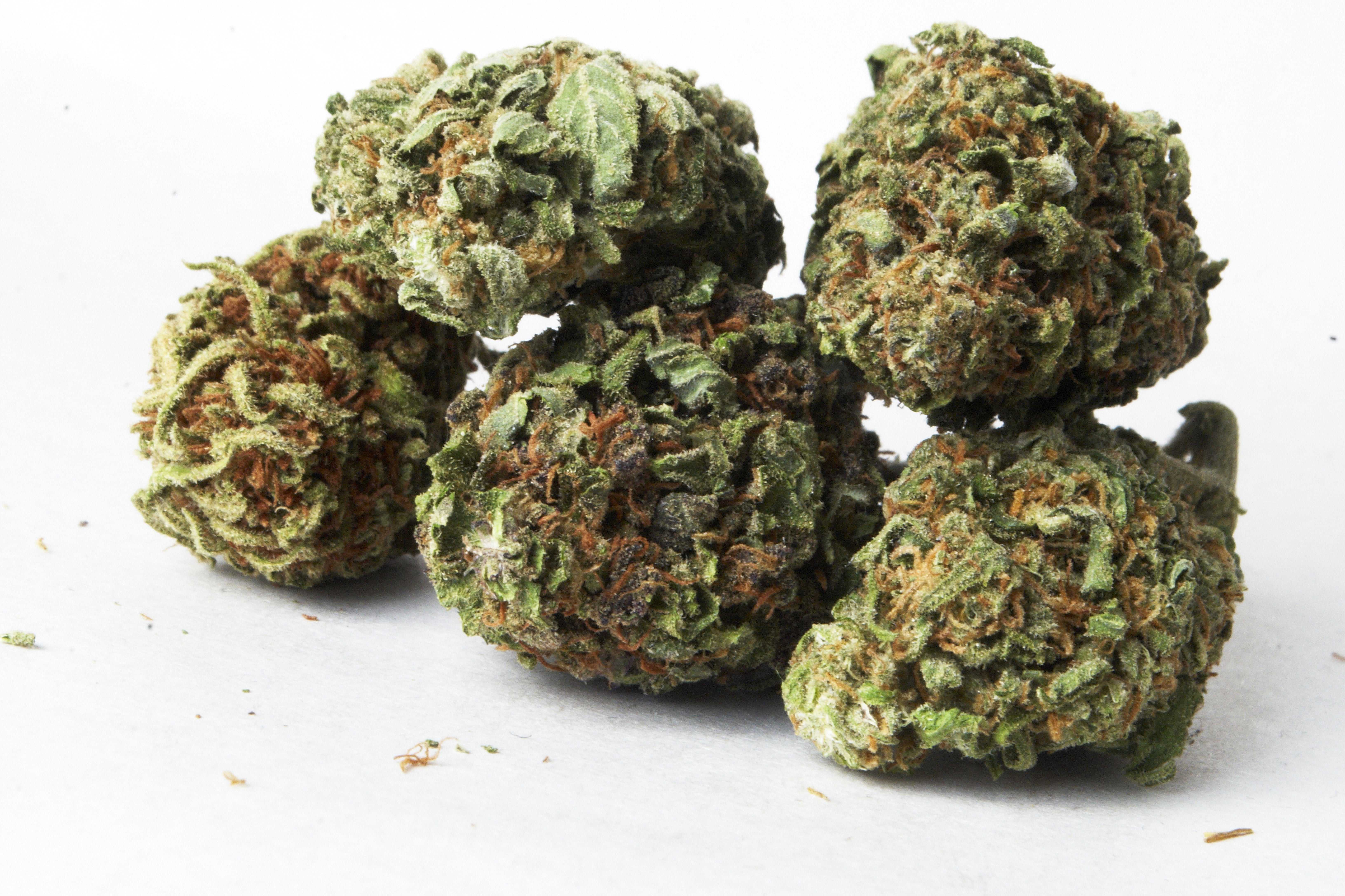 State Recruits UCSD to Develop Marijuana Sobriety Test 