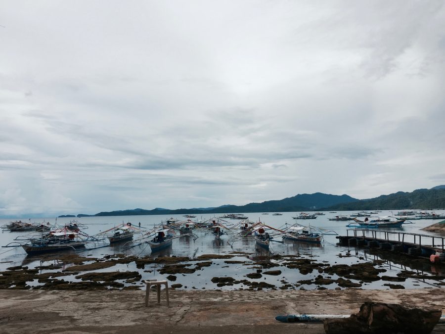 Tales of a Philippine Life: Seeing Puerto Princesa in Extremes