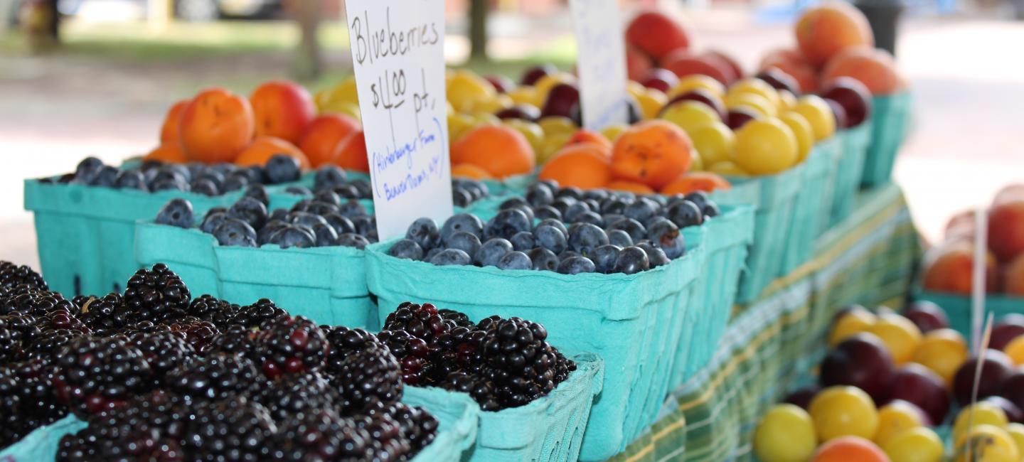 Farmers Market Faces Increased Oversight After Discovery of Improper Oil Disposal
