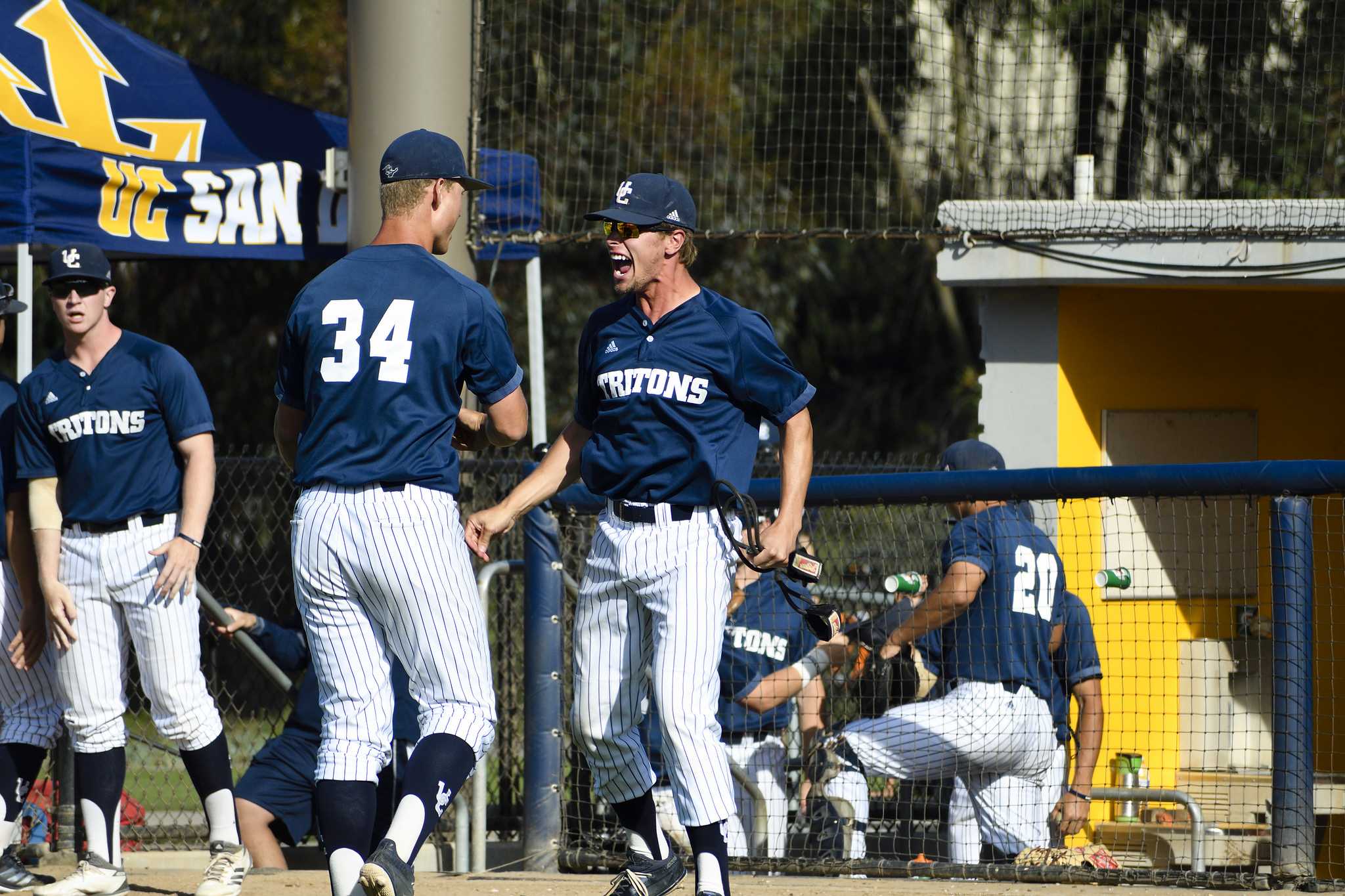 UC San Diego Baseball Advances to Championship Round UCSD Guardian