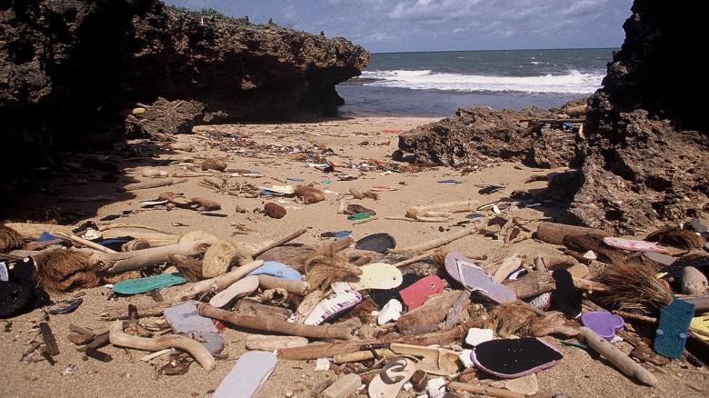 Biodegradable Flip Flops Expected to Take the Market