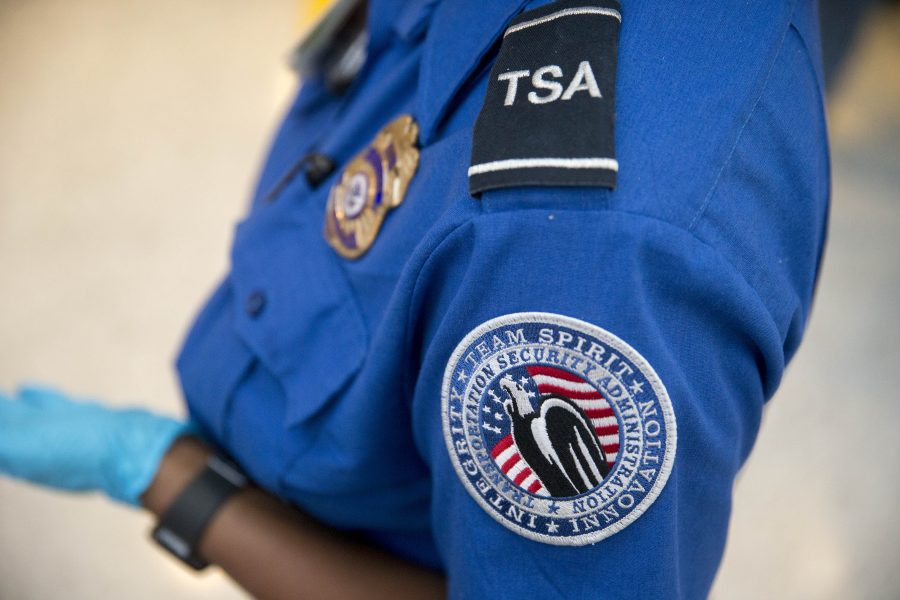 Does Airport Security Save Lives or Cost Them?