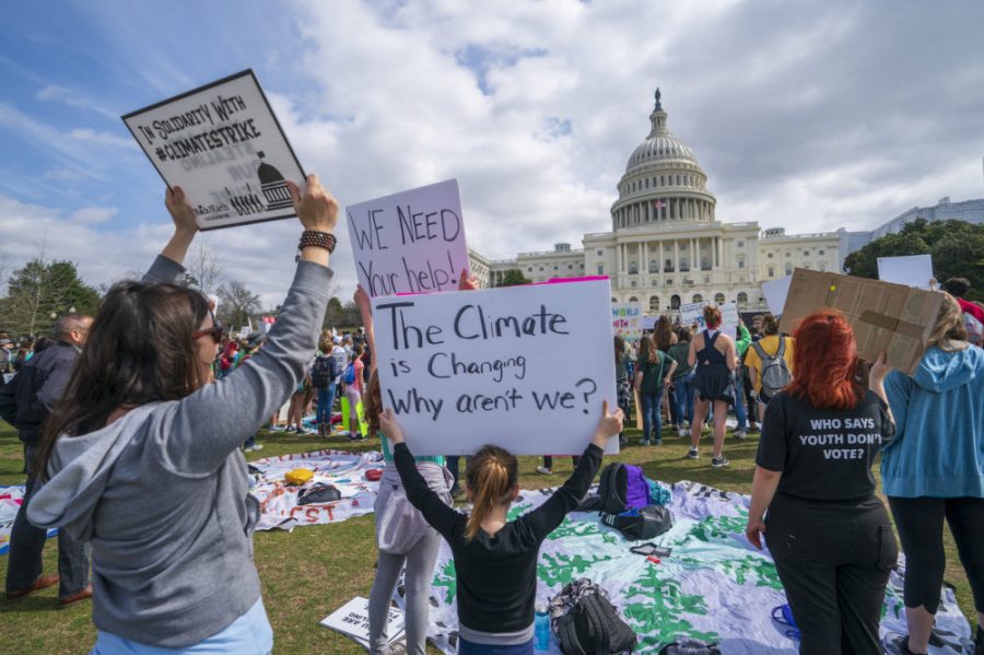 Young demonstrators  join the International Youth Climate Strike event at the Capitol in Washington, Friday, March 15, 2019.  (AP Photo/J. Scott Applewhite)