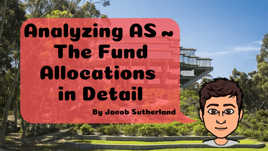 Analyzing AS — The Fund Allocations in Detail