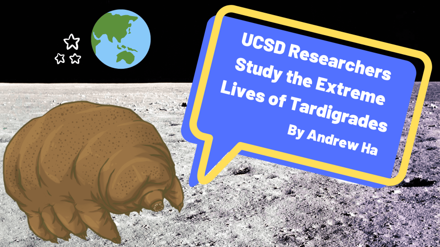 Researchers at UCSD Study the Extreme Lives of Tardigrades