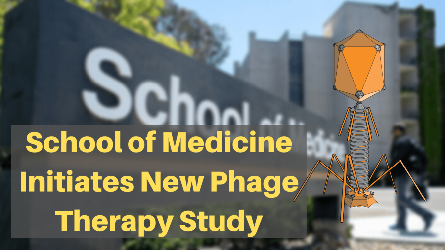 School of Medicine Initiates New Phage Therapy Study