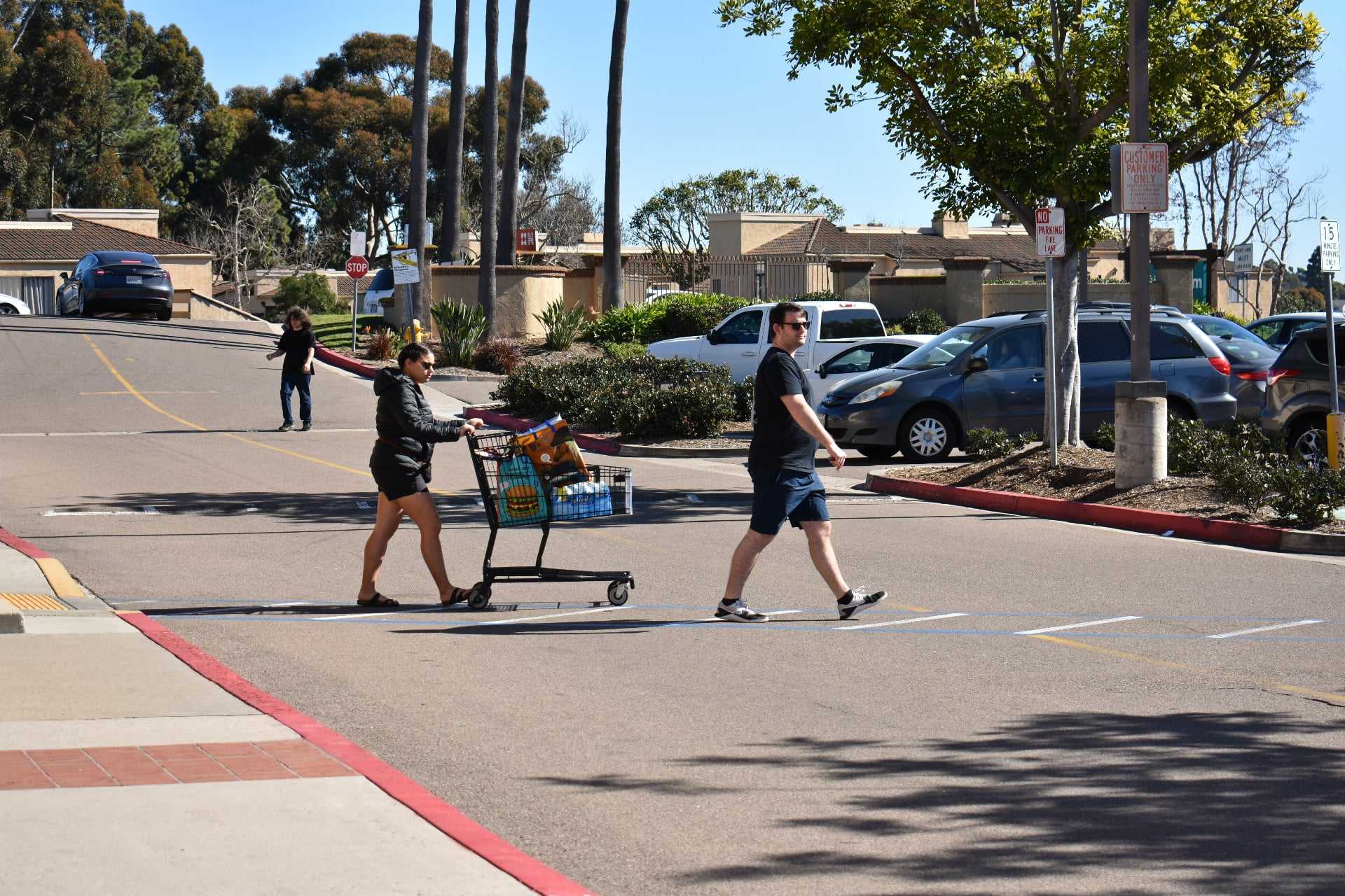 San Diego Pedestrian and Bicyclist Fatalities Data Released