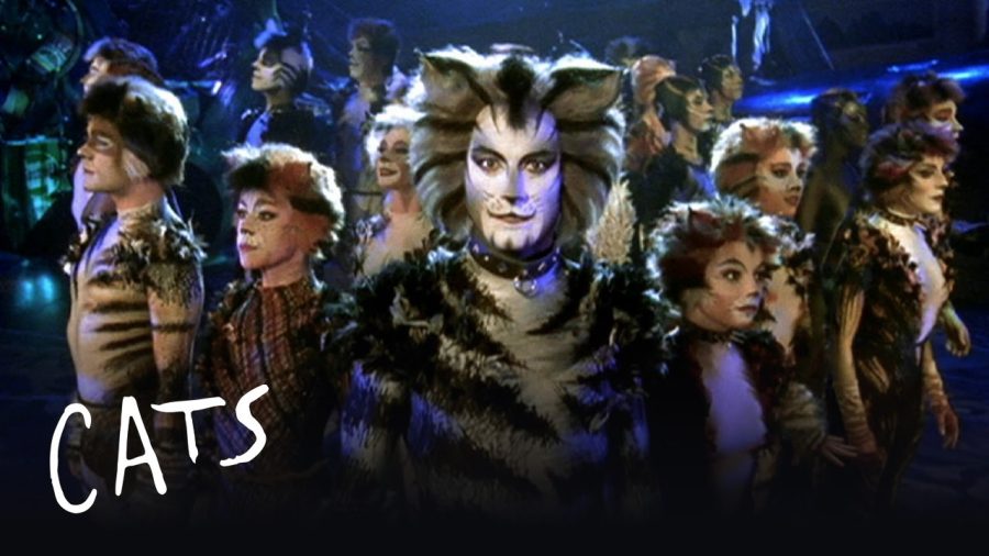 Cats – Film Review