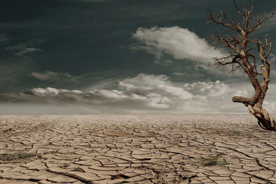 Drought (Photo/Pixabay)