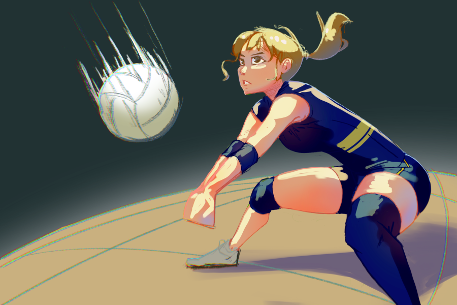 Art for Volleyball Article