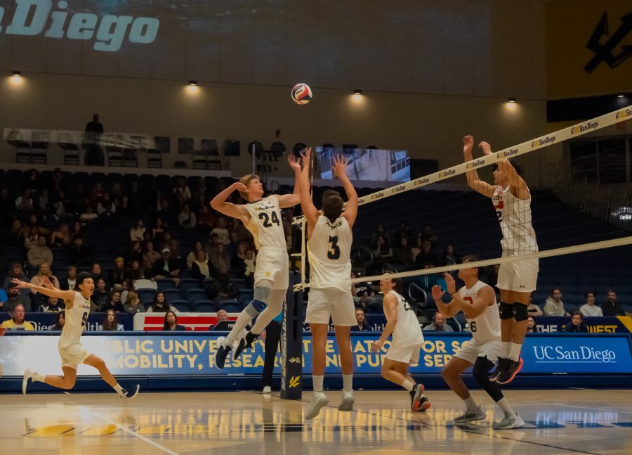 Promising Start Shows Potential for Young UCSD Mens Volleyball