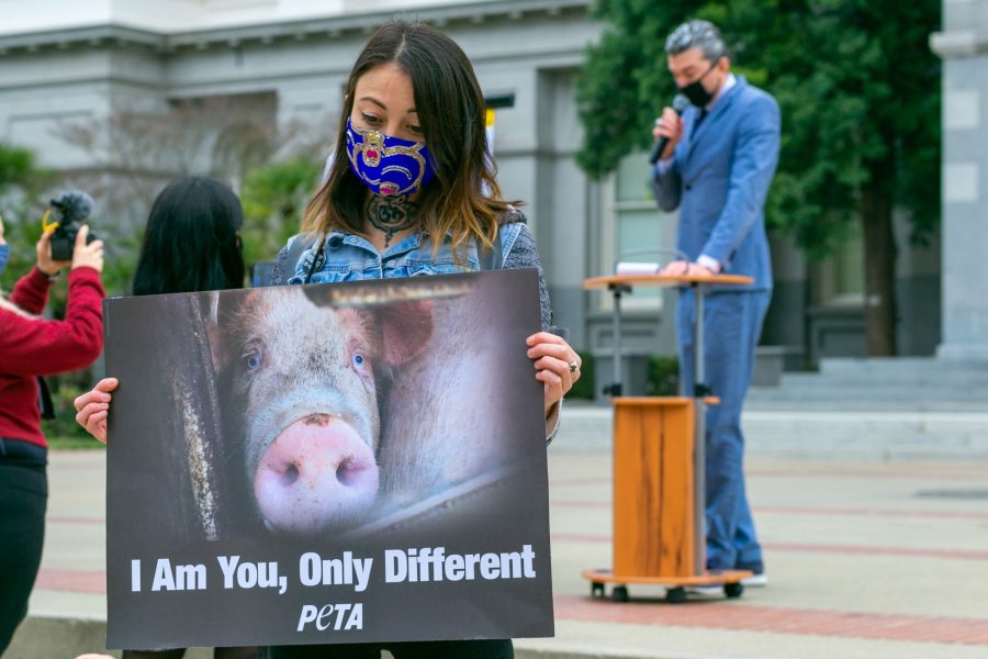 Animal Cruelty at UCSD: An Unsettling Reality