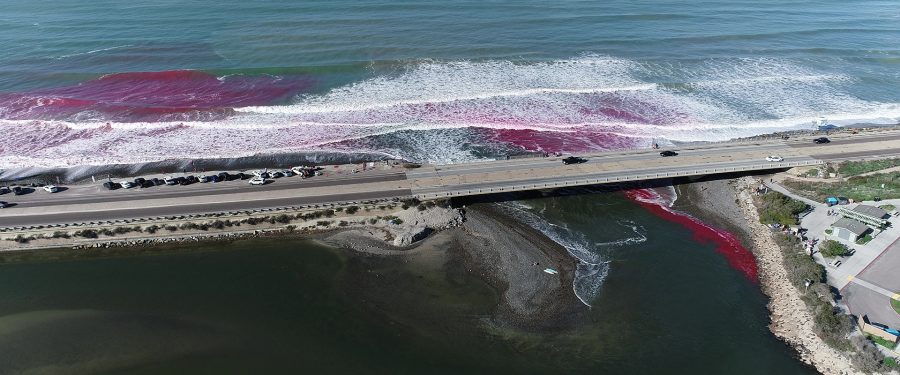 UC San Diego Scientists Dye Ocean Waves Pink to Study Coastal Water Interactions 