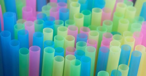 Are Bioplastics the Future?