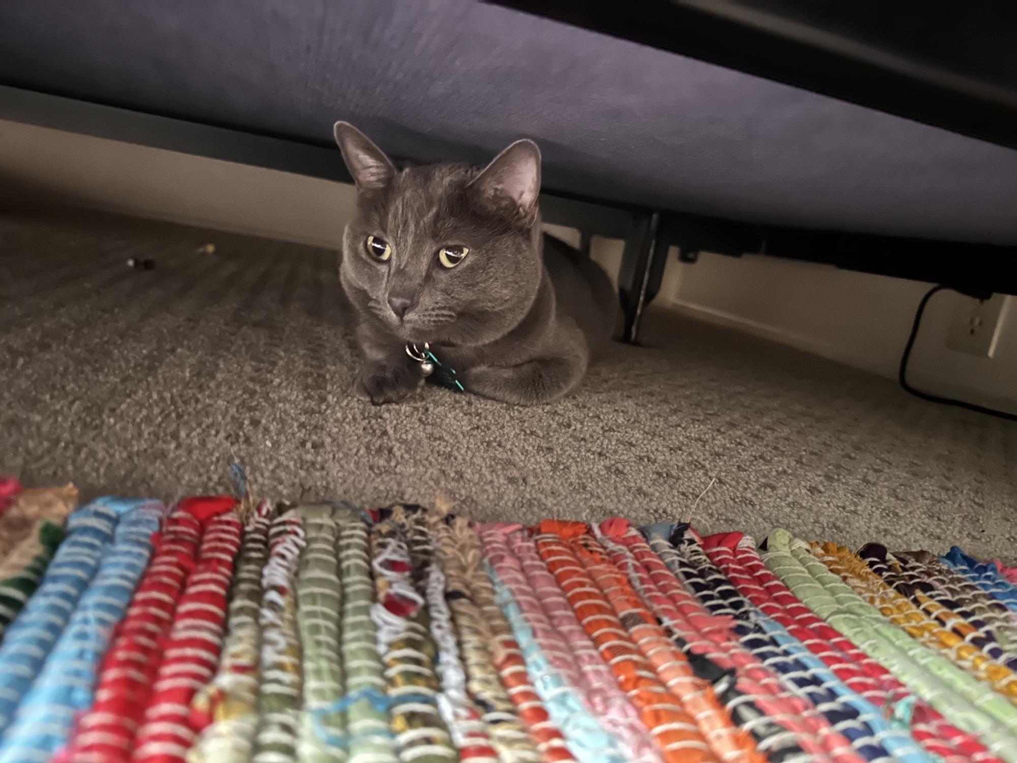 MeowMeow hides under my bed, fearing BMO’s attack.