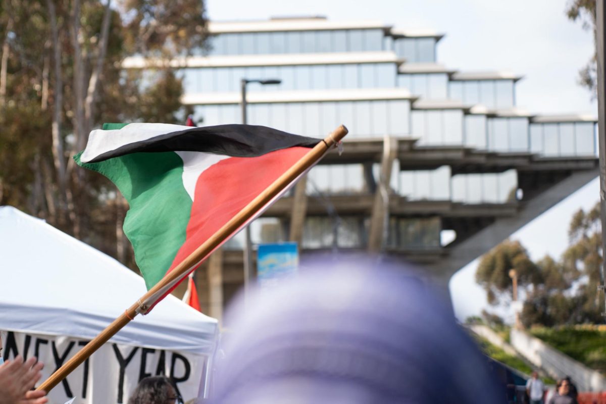 Protestors establish pro-Palestinian encampment at UC San Diego