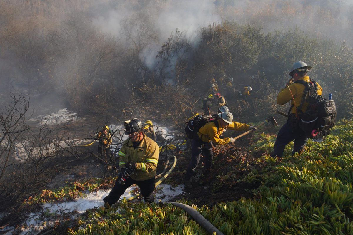 Fire breaks out on Gilman Drive