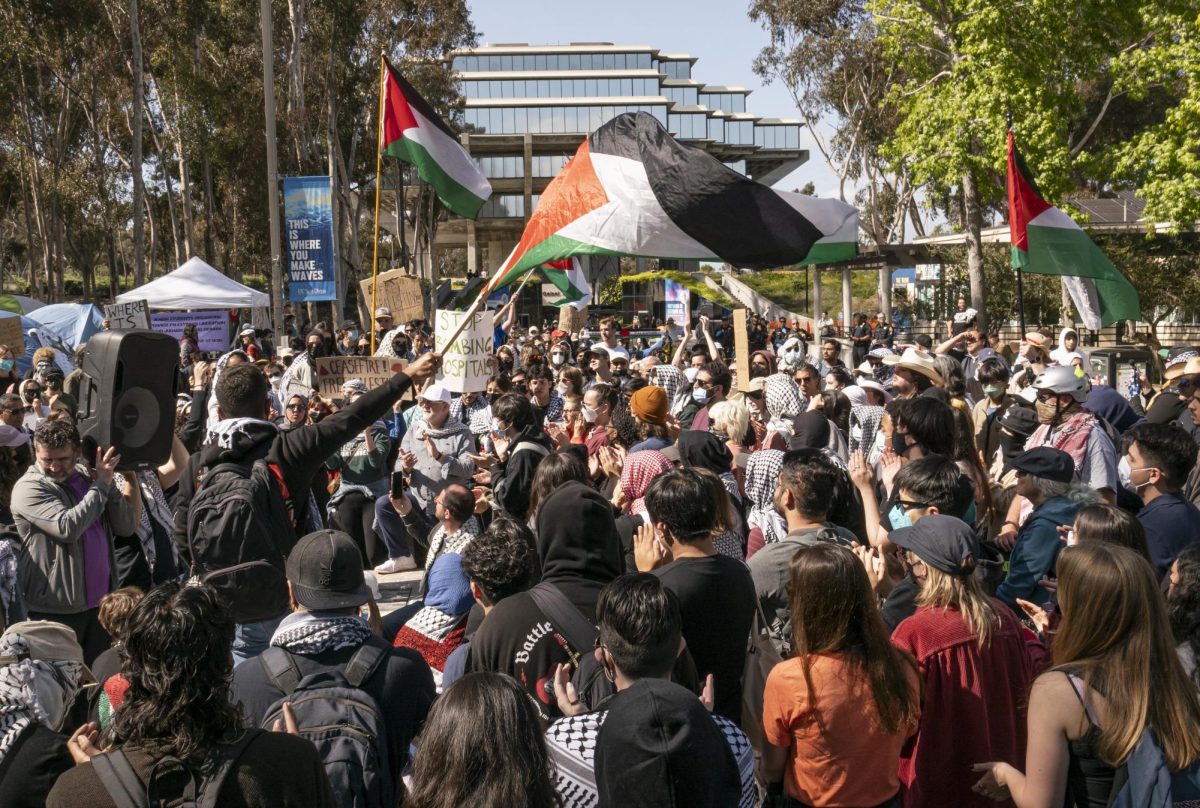 ERASED! The eradication of encampment protest at UCSD