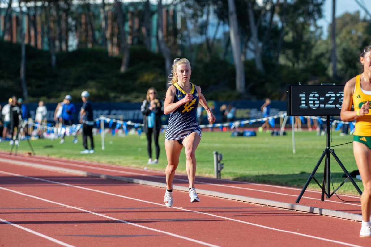 Image courtesy of Arwyn Guinto/UC San Diego