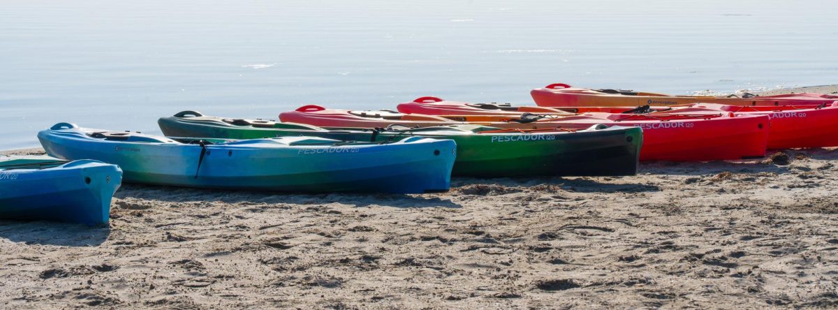 Lifestyle Tries: Kayaking at La Jolla Shores