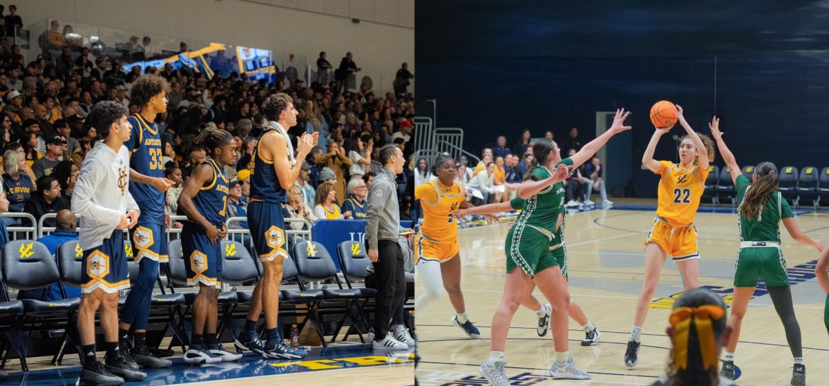 UC Irvine (men’s), Hawai’i (women’s) favorites in inaugural Big West Basketball Preseason Media Poll