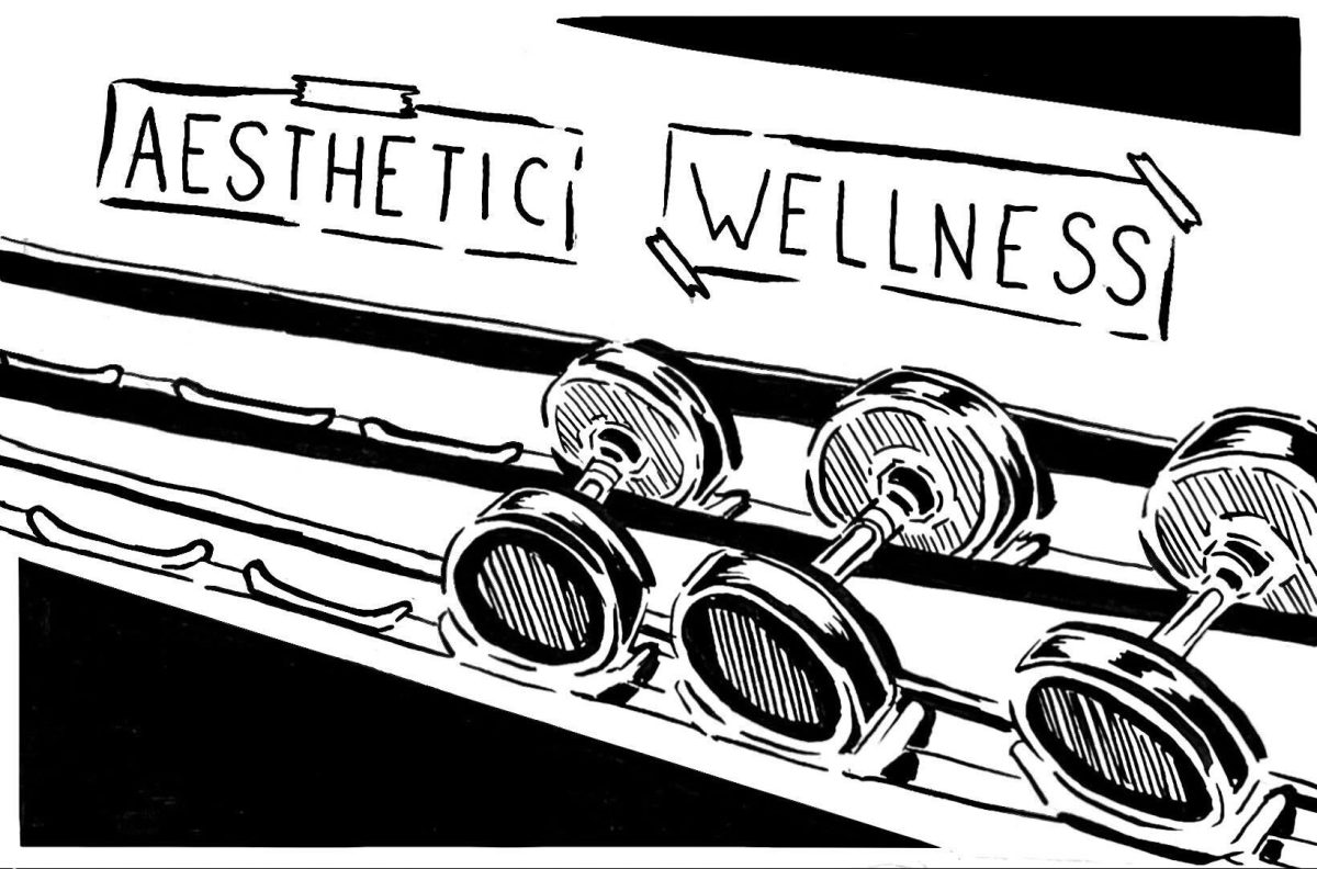 Workout culture prioritizes vanity over wellness
