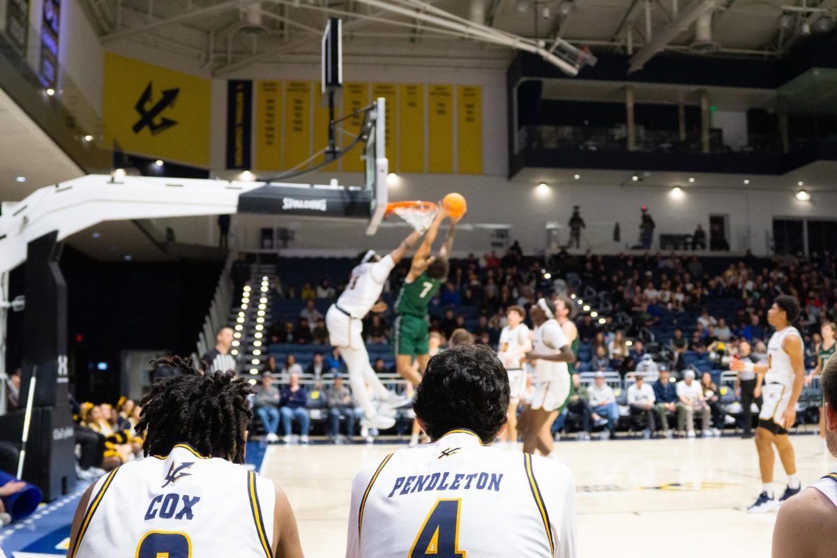 Kelly Tapia MBB