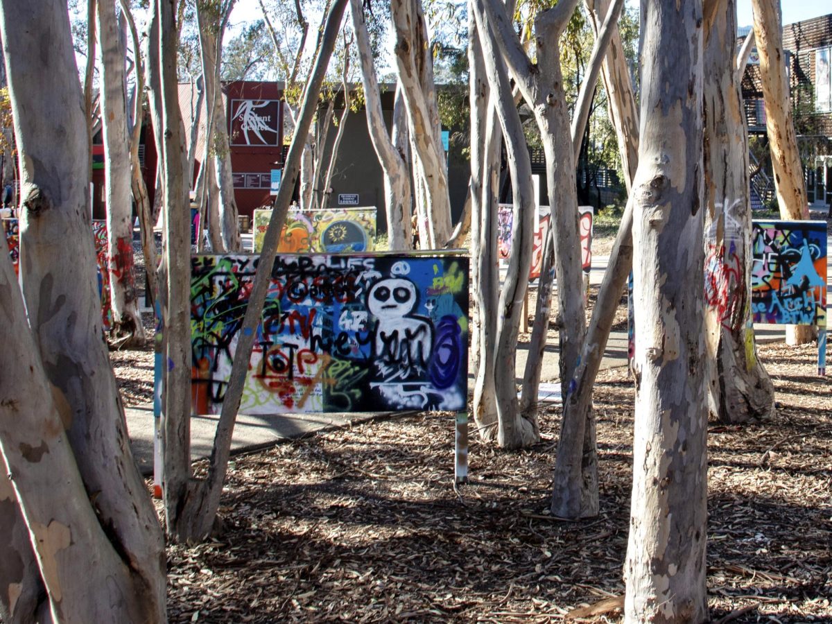 Local artists are still painting past limits at the Graffiti Art Park