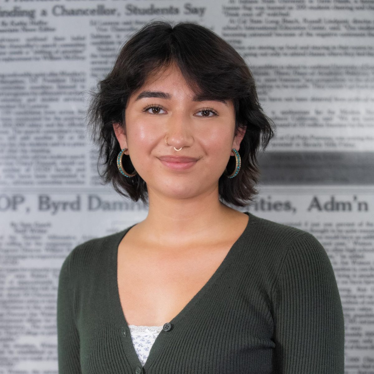 Rosa Cerritos Lara