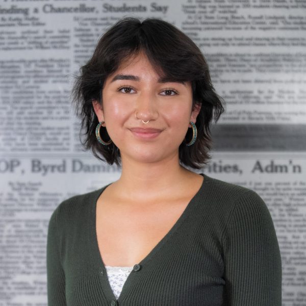 Rosa Cerritos Lara