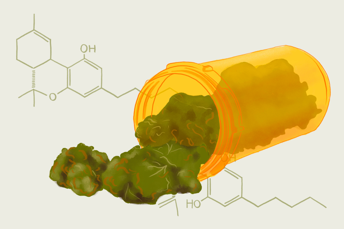 Marijuana Reclass - Art by Roxana Anayat _ The UCSD Guardian